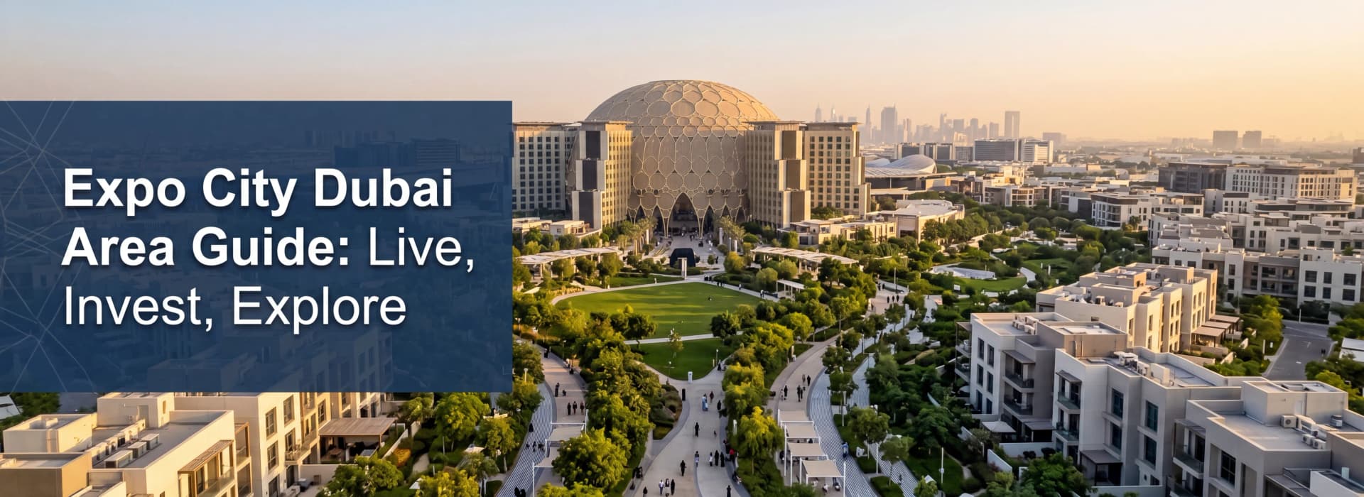 Expo City Dubai Area Guide: Live, Invest, Explore